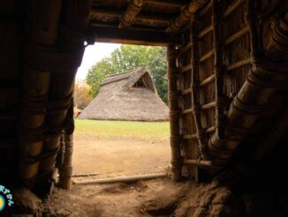 竪穴住居内部からの景色