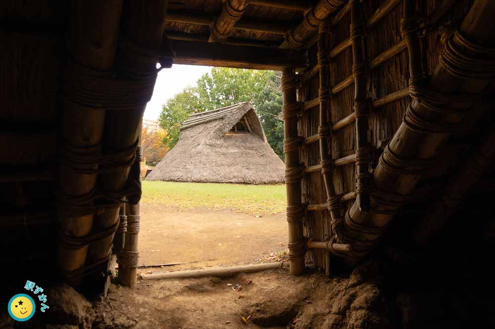 竪穴住居内部からの景色