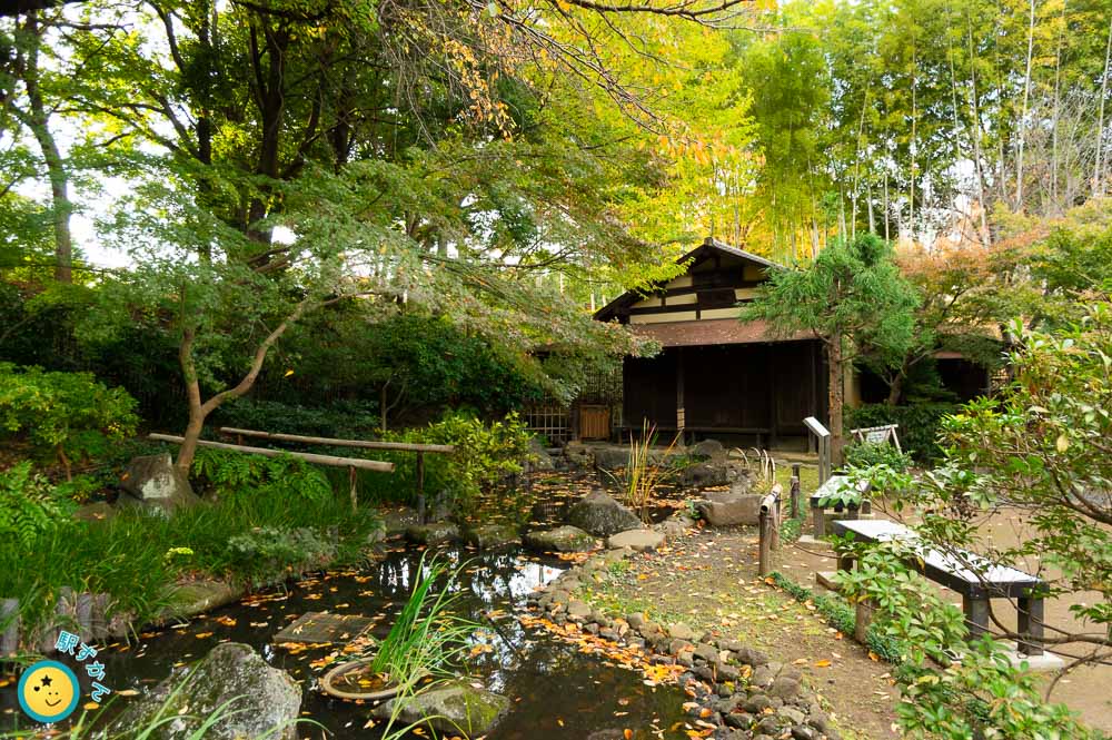 ふるさと池と茶室