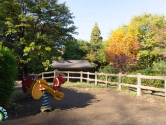 紅葉と公園遊具