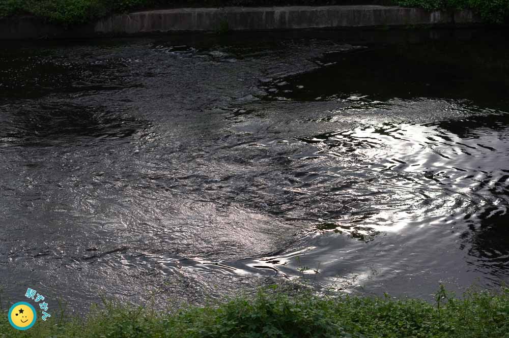 市が尾の鶴見川の川面