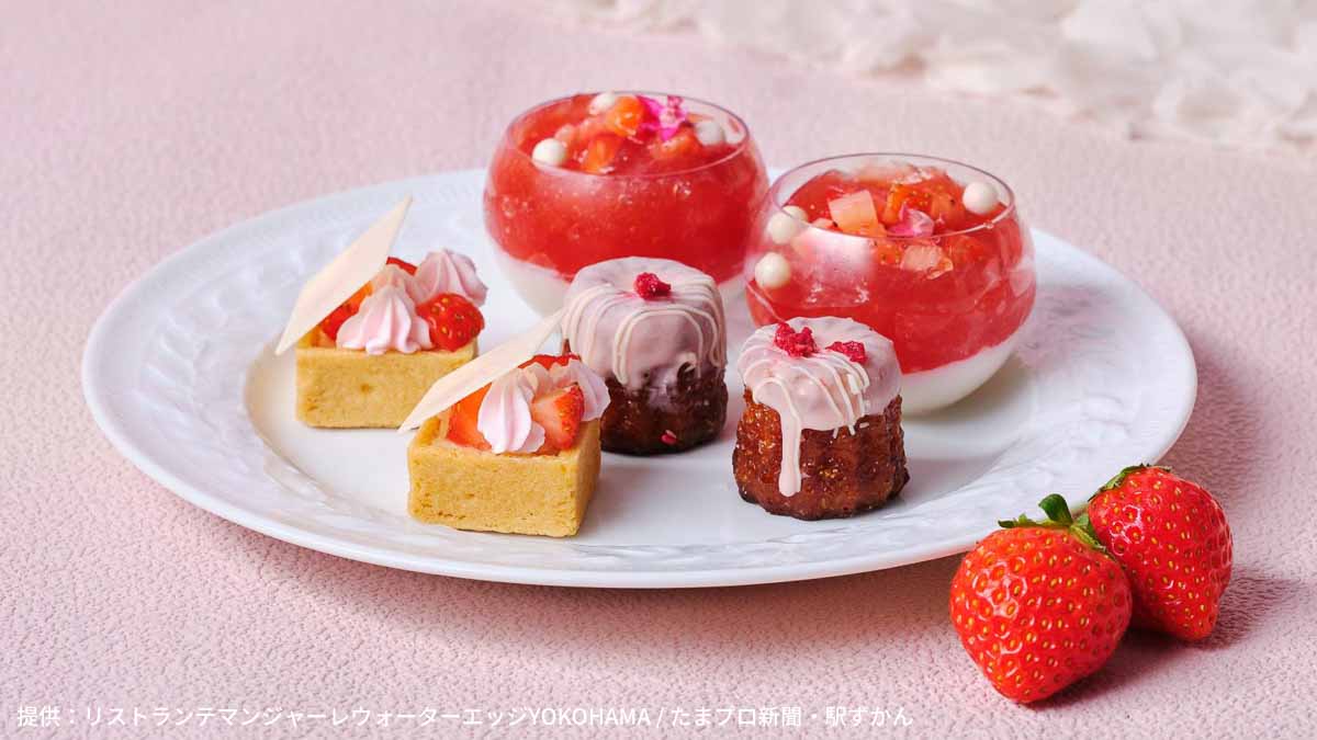 タルト,カヌレ,パンナコッタ