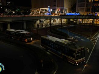 クリスマスイルミと小田急バス