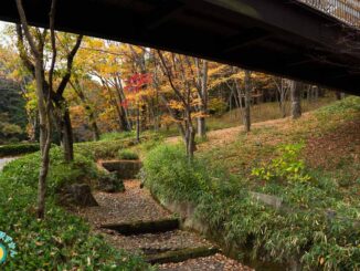 都筑中央公園の歩道橋をくぐる