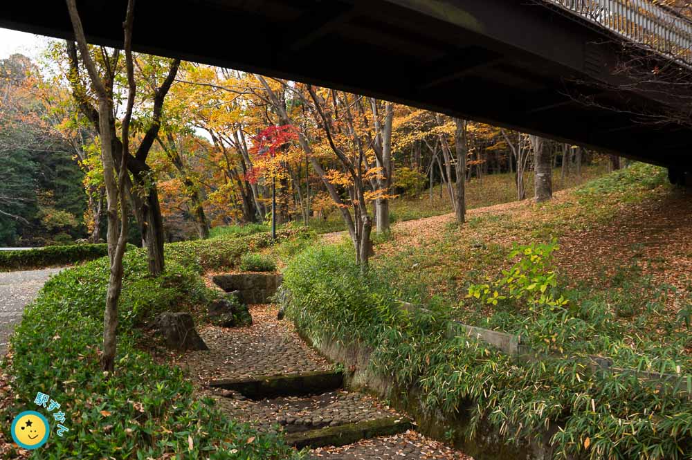 都筑中央公園の歩道橋をくぐる