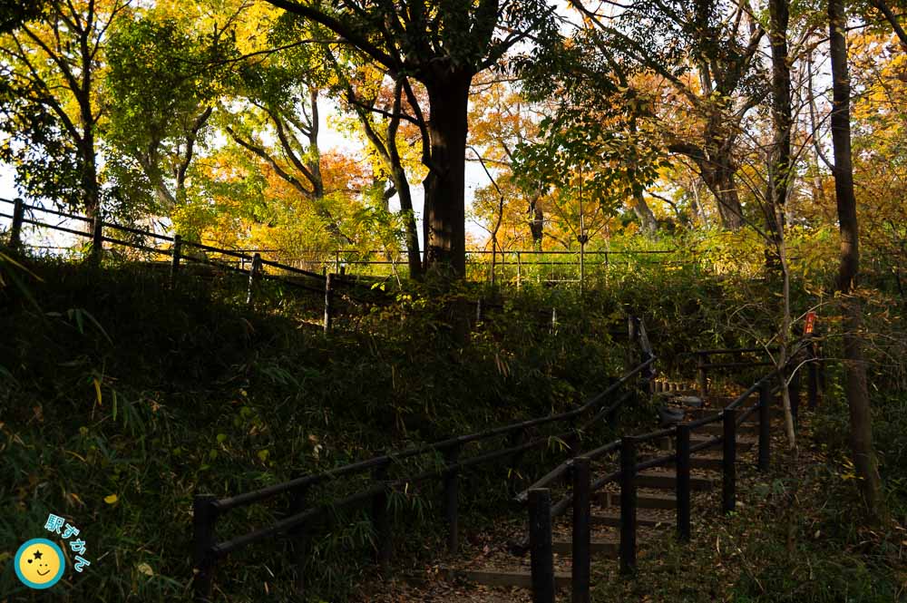 ステージ広場への階段