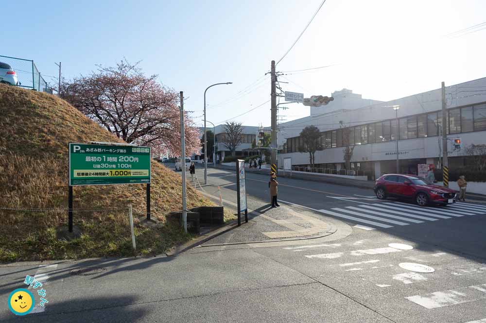 山内図書館と河津桜