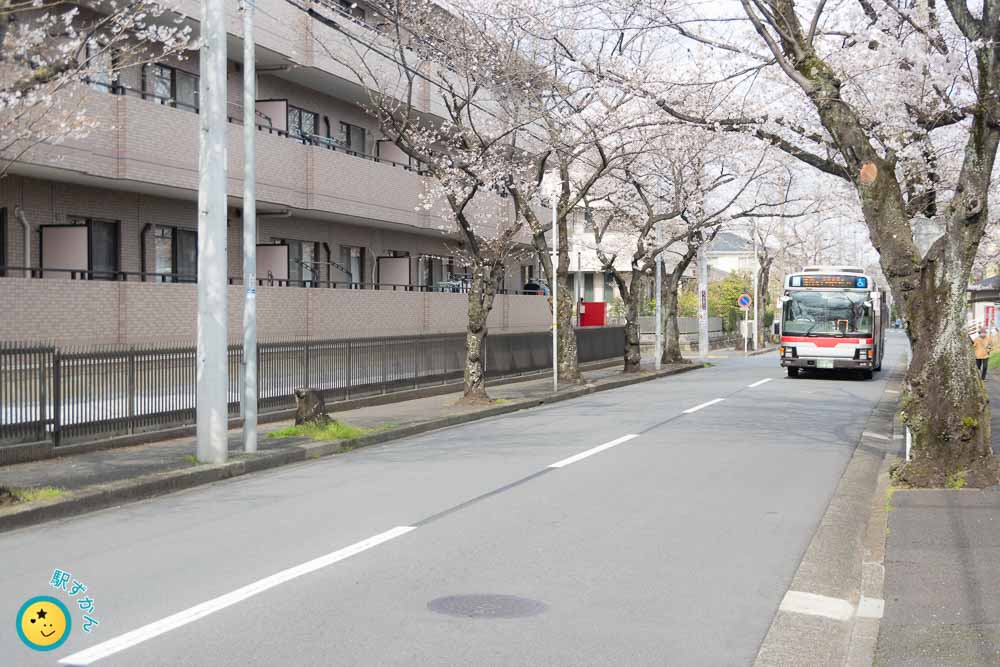 あざみ野桜通りを走る東急バス