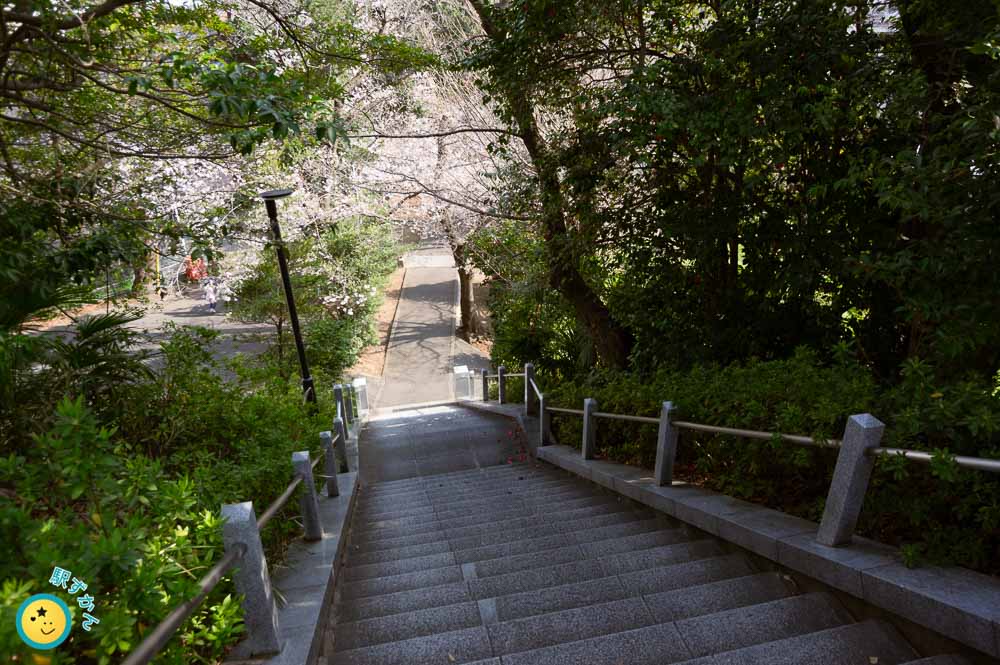 階段から山道と桜を見下ろす
