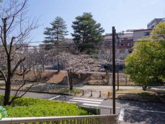 北山田・ふじやとのみち