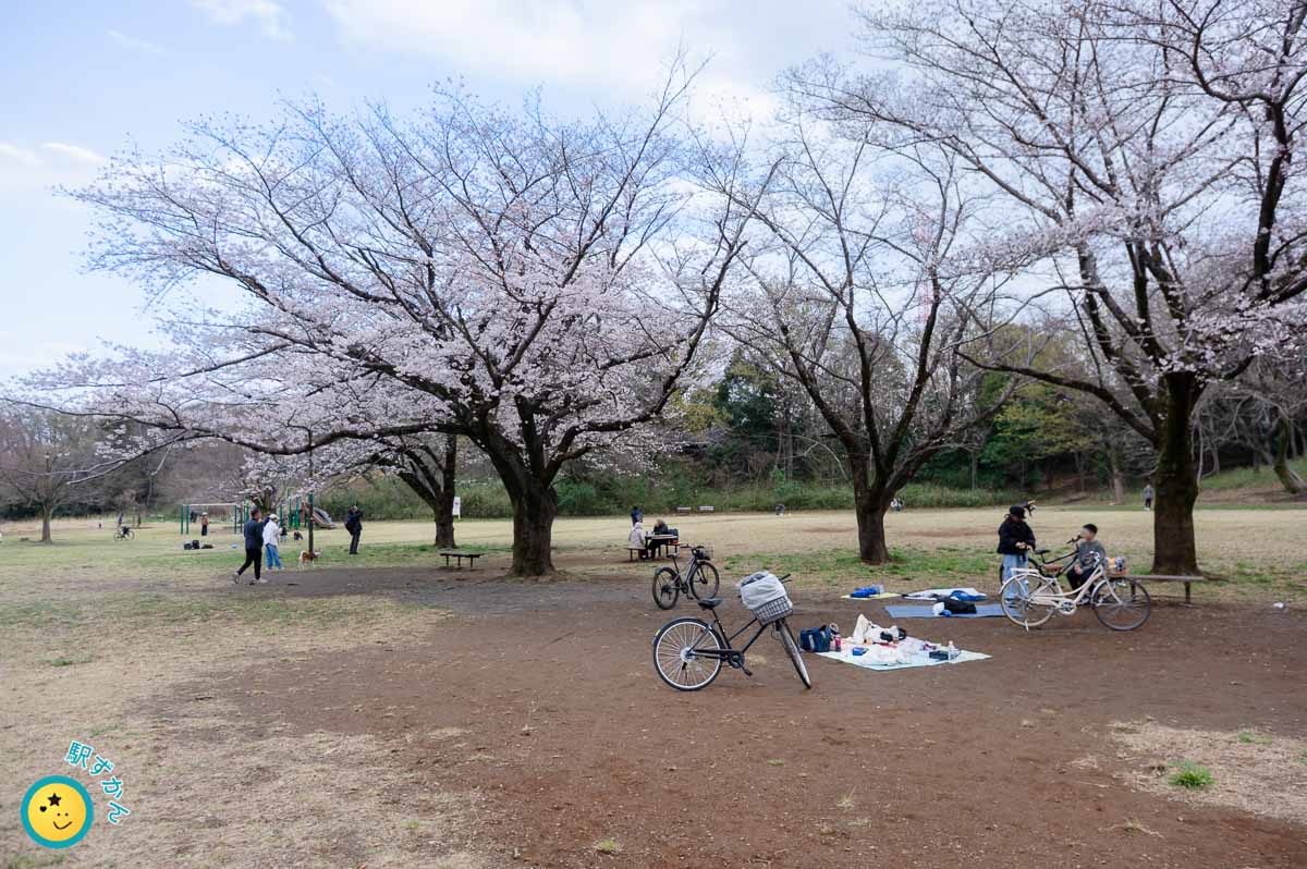 東地区広場の花見客