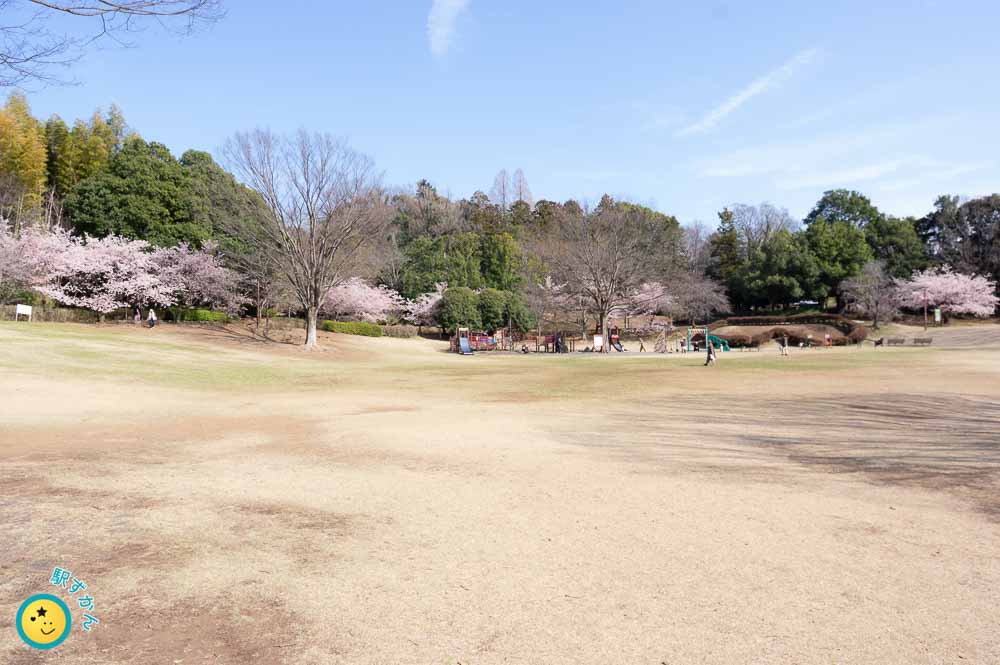 王禅寺ふるさと公園の広場