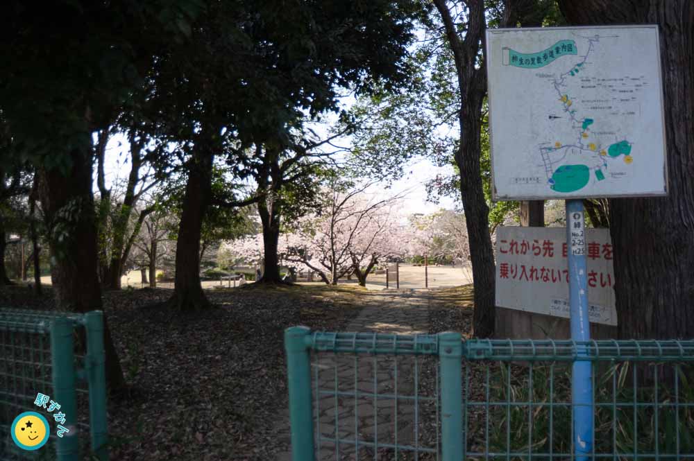 柿生の里散歩道の看板