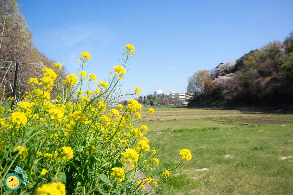 寺家ふるさと村の谷戸