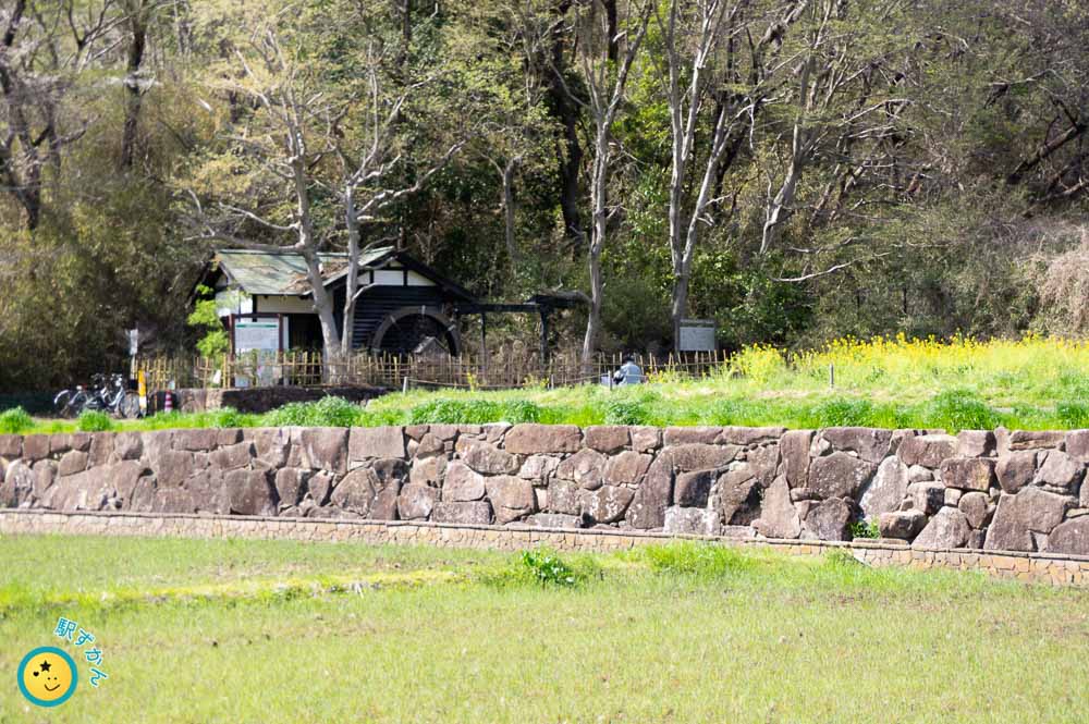 水車小屋と菜の花