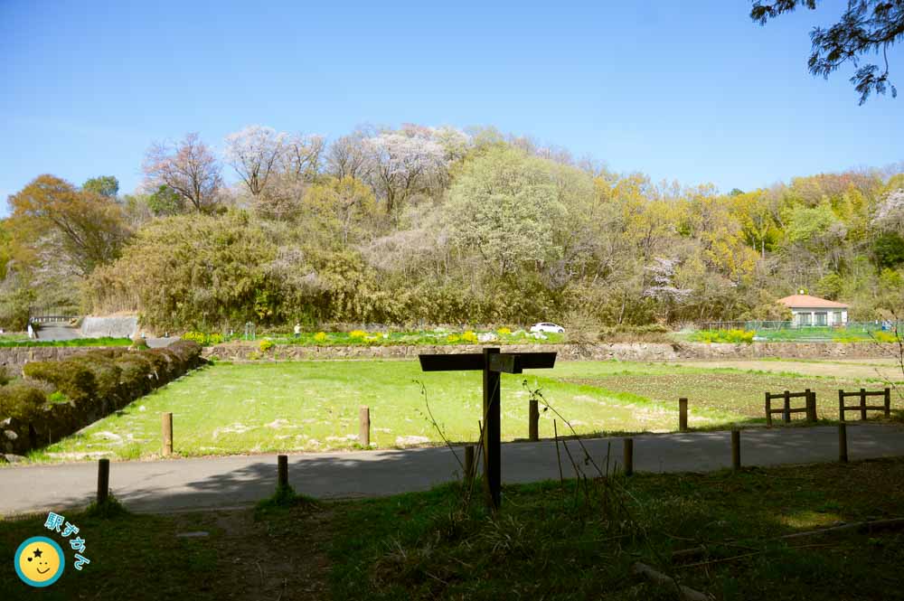 寺家ふるさと村の田んぼ