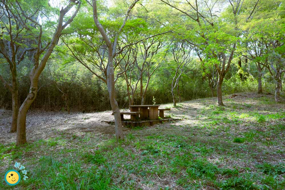 テーブルとベンチ