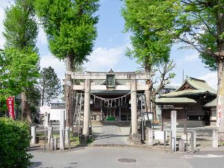 登戸稲荷社の鳥居と社殿