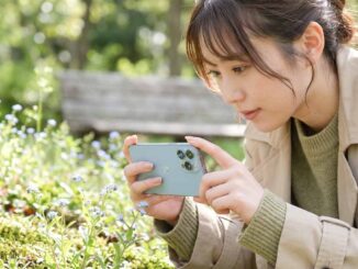 iPhoneで小さな花を撮影する女性