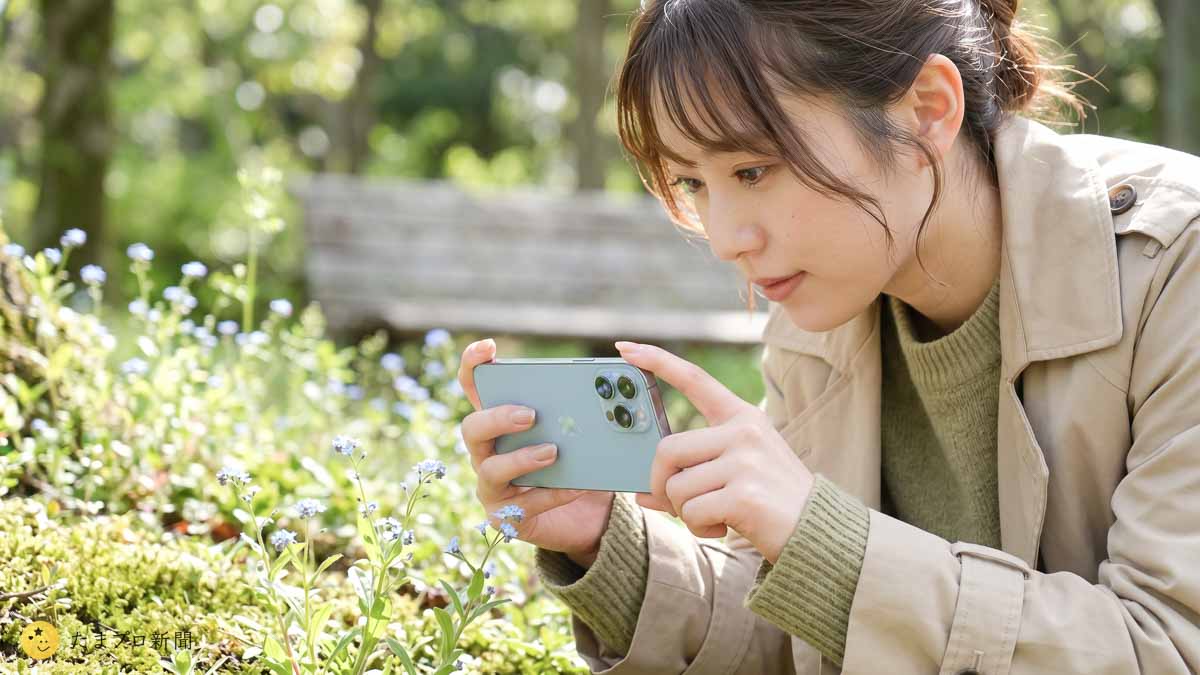 iPhoneで小さな花を撮影する女性