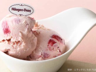 ハーゲンダッツ アイスクリーム ストロベリー