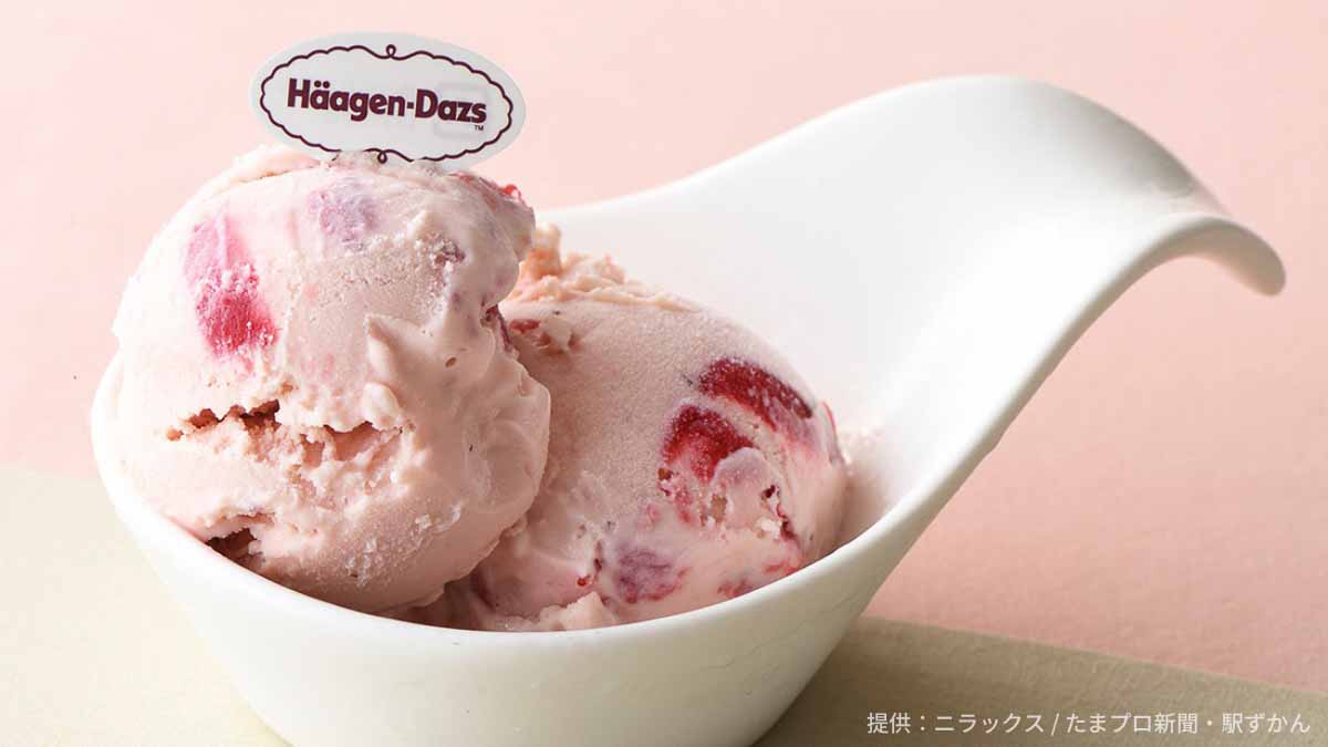ハーゲンダッツ アイスクリーム ストロベリー