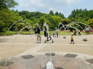 夏の生田緑地中央広場と噴水