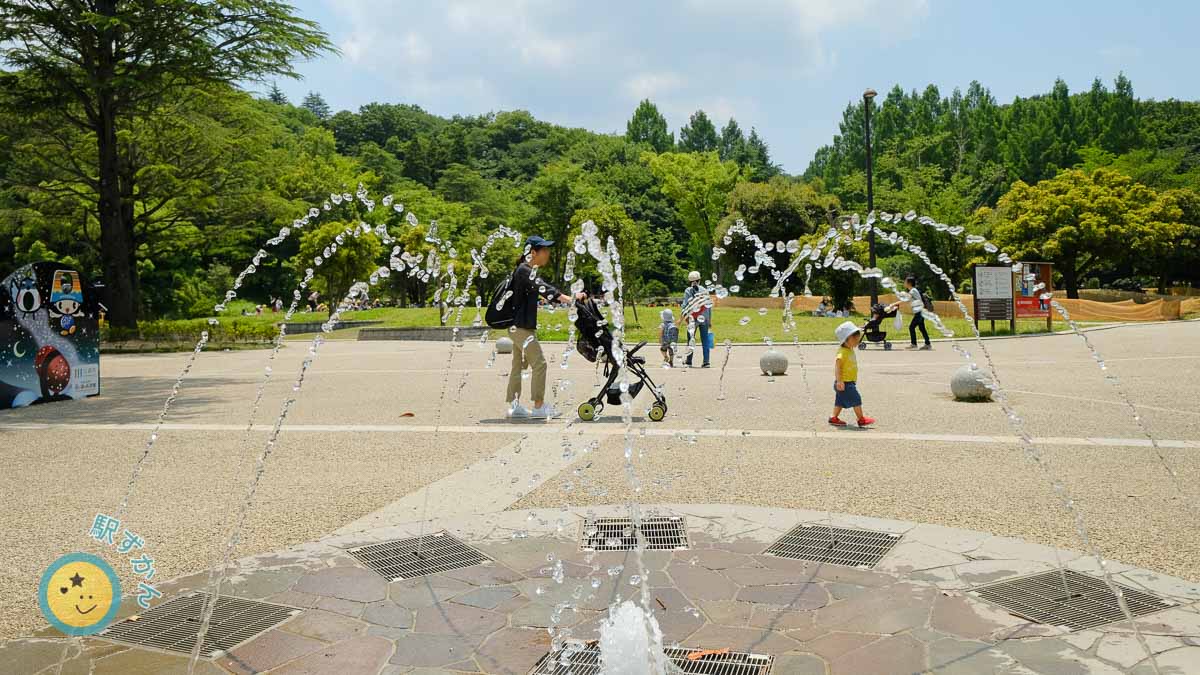 夏の生田緑地中央広場と噴水