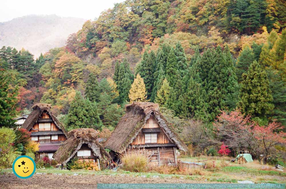 紅葉と合掌造りの家