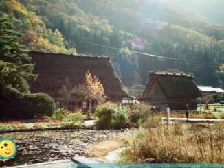 和田家住宅とスイレン池