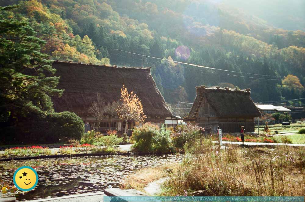 和田家住宅とスイレン池