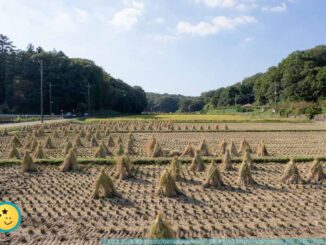 寺家ふるさと村・わらぼっち