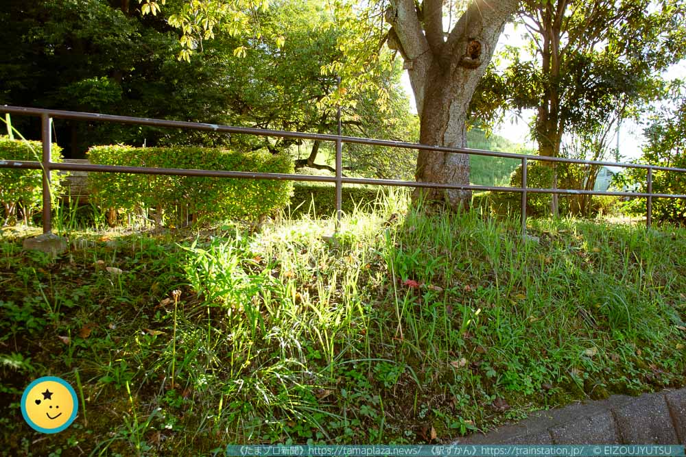 長津田第三公園