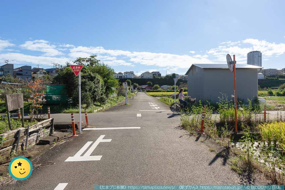 田んぼ沿いの道路