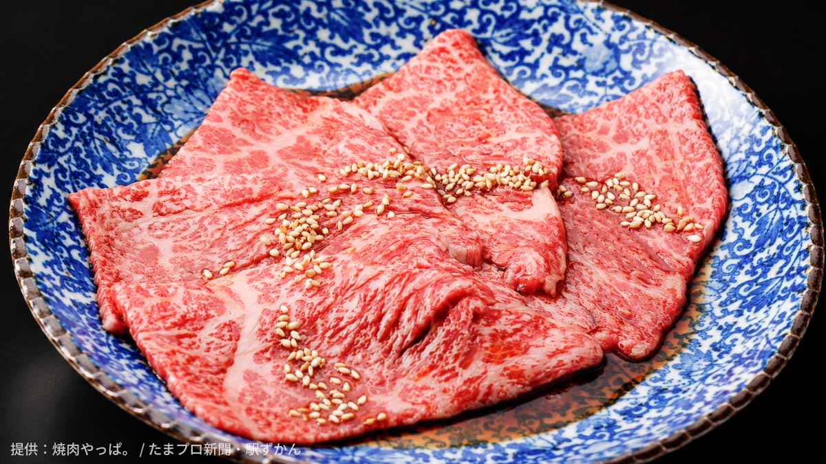 やっぱ。中とろロース