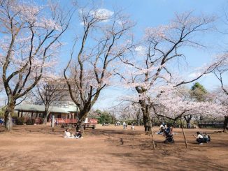 Spot 生田緑地 に関するまとめ たまプラ新聞