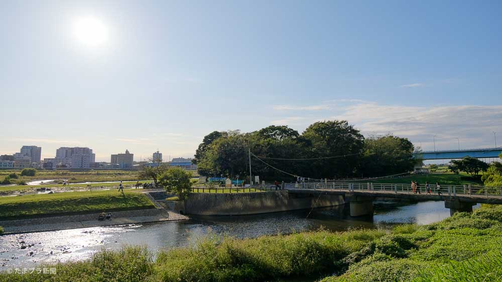 多摩川と兵庫島公園