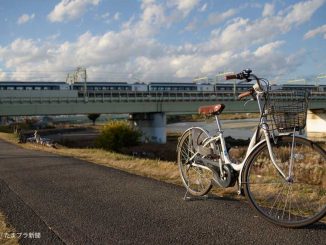 多摩川とレンタサイクル