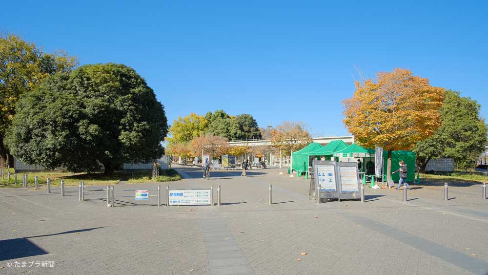 昭和記念公園あけぼの口