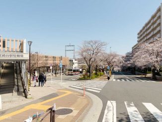 宮崎台駅南口タクシーバス乗り場と桜並木