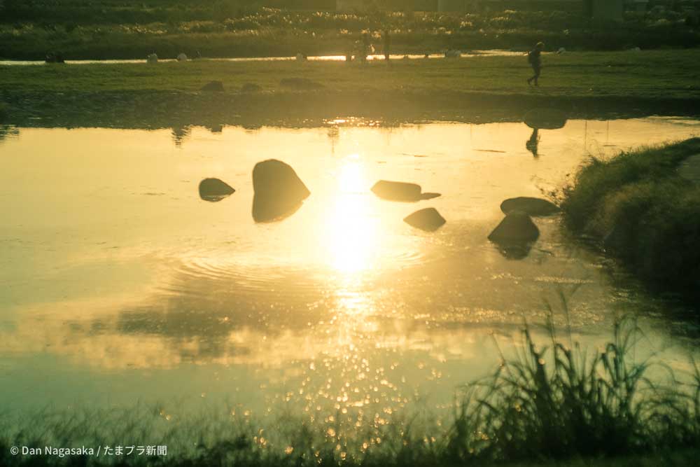 多摩川に映る太陽