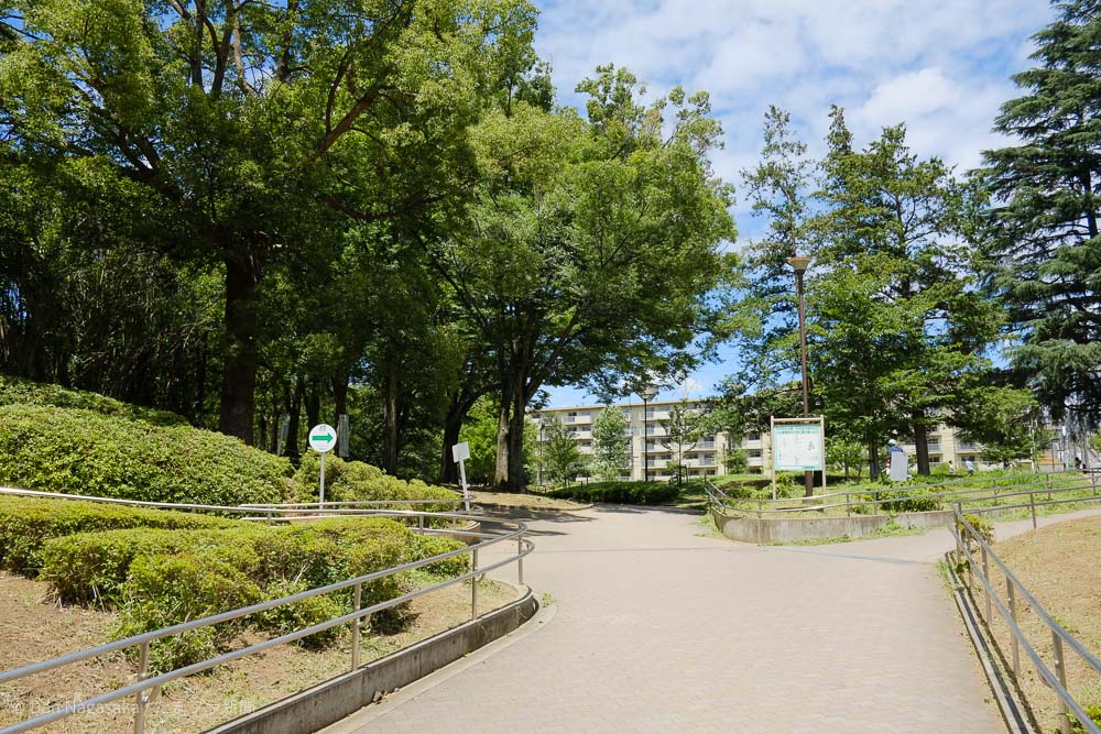 美しが丘公園とロケットハウス たまプラーザ駅近の公園 たまプラ新聞